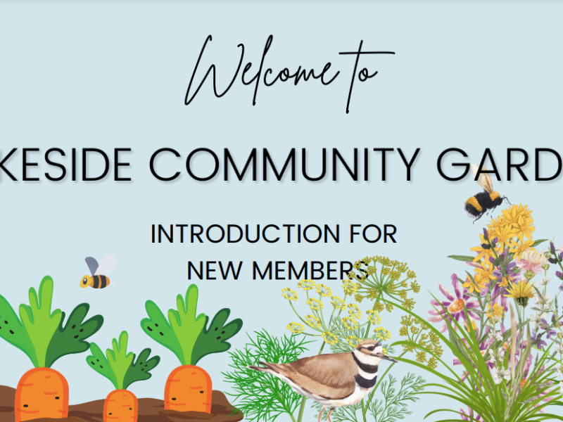Intro to the Garden