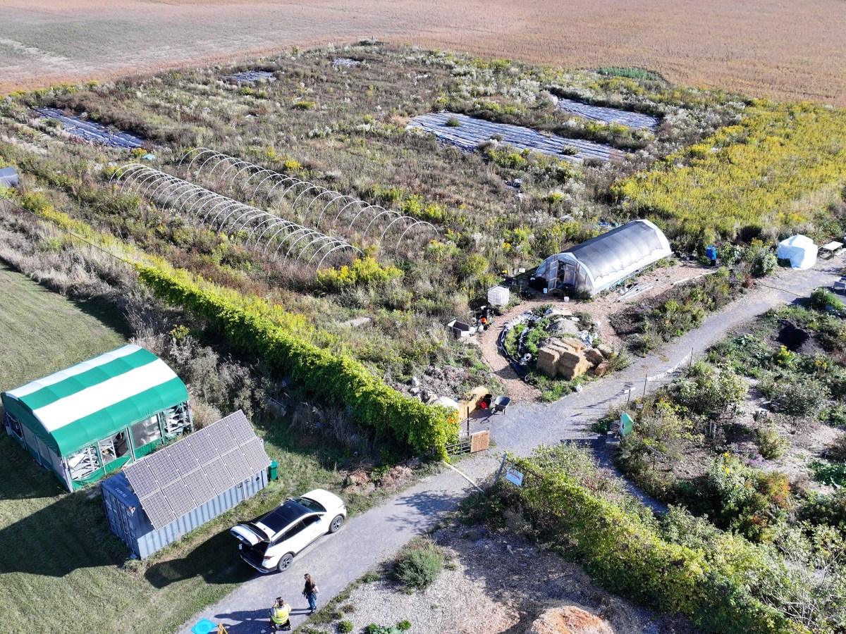 Lakeside is expanding: join us for community visioning