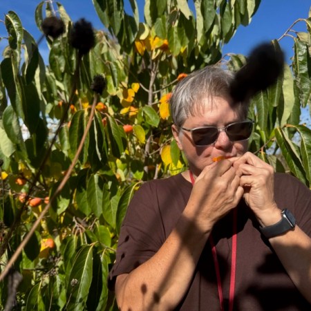 constance eating a persimmon